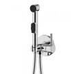 Смеситель с гигиеническим душем Balear 13131BL встраиваемый Olives