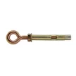 Анкерный болт с кольцом 8х45